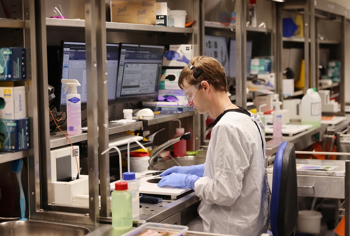 A medical researcher in a lab